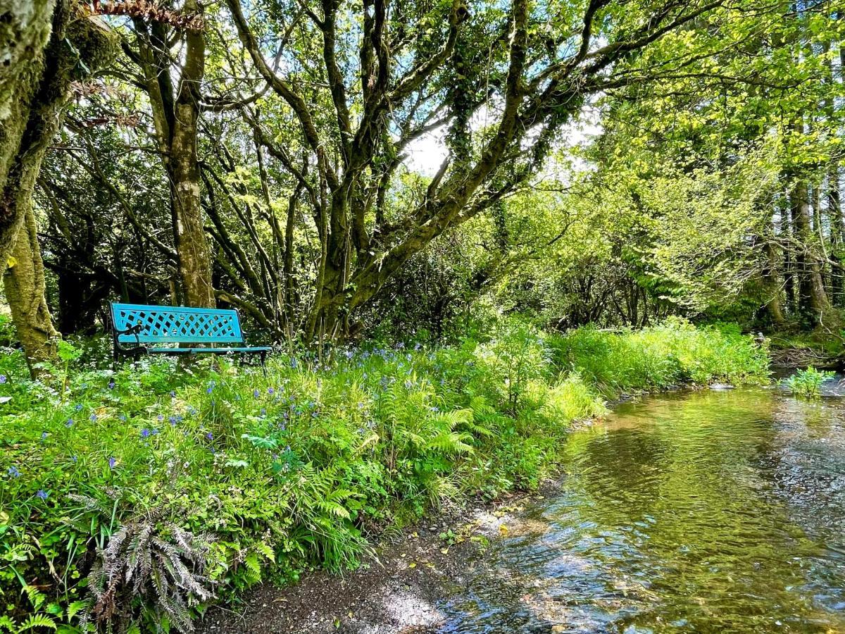 Stepping Stones Glamping 'The Olive' Villa Bantry Ngoại thất bức ảnh